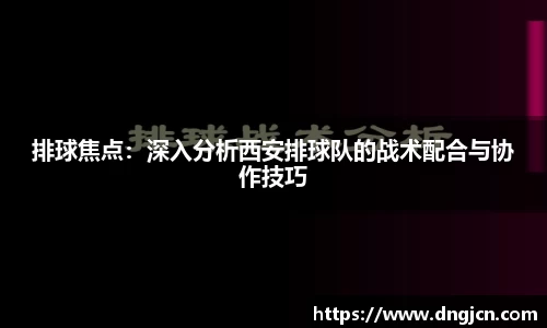 IM电竞平台